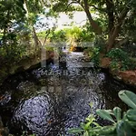 Beautiful